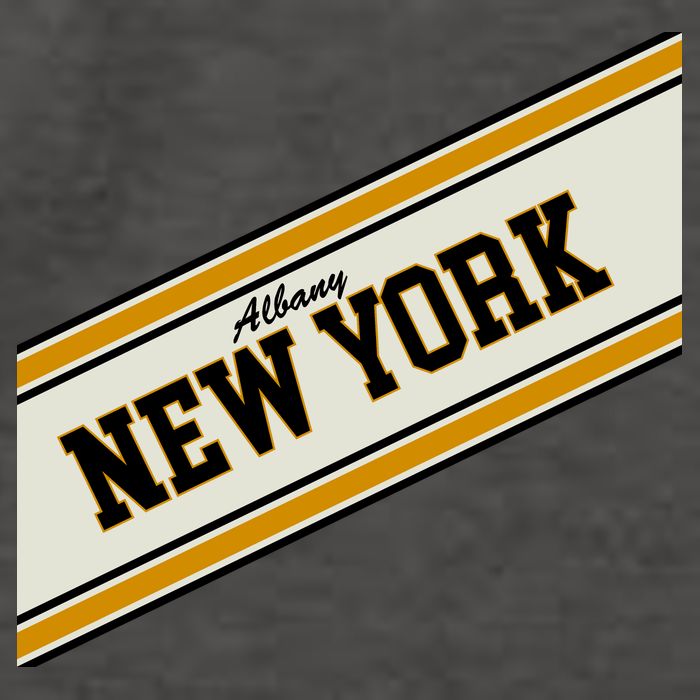 Albany New York Varsity Logo Vector Backpack