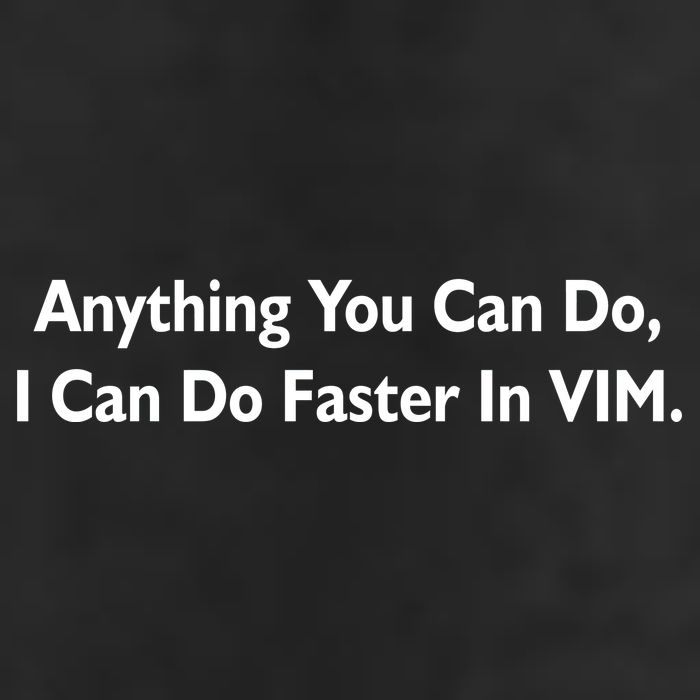 Anything You Can Do I Can Do Faster In VIM Knit Cap Winter Beanie