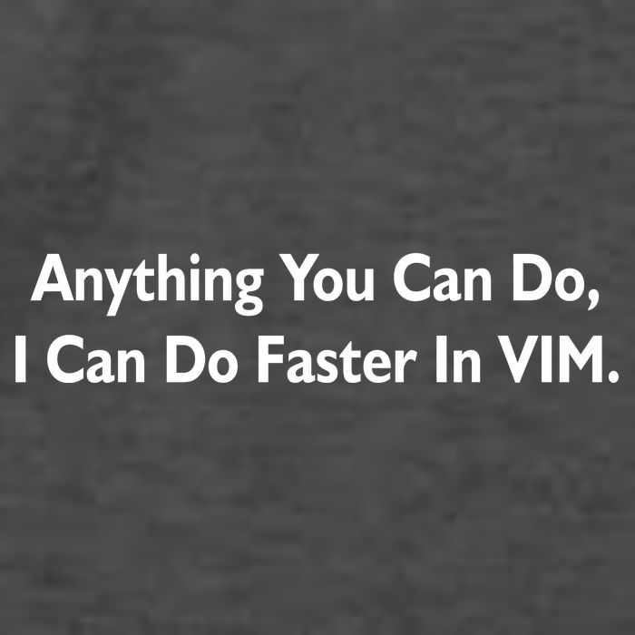 Anything You Can Do I Can Do Faster In VIM Vector Backpack