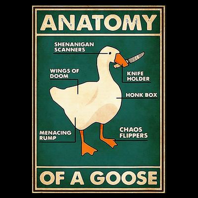 Anatomy Of A Goose With Knife T-Shirt