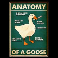 Anatomy Of A Goose With Knife Sustainable Bucket Hat