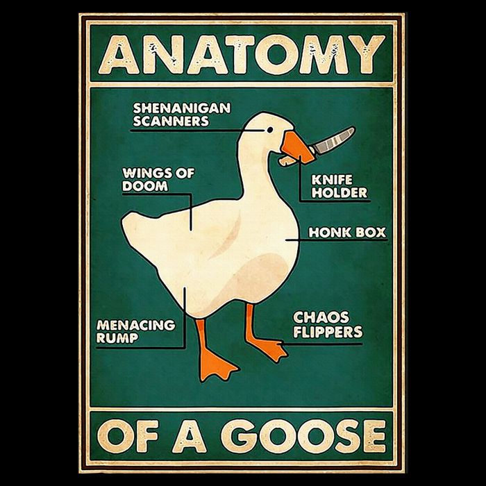 Anatomy Of A Goose With Knife Sustainable Bucket Hat