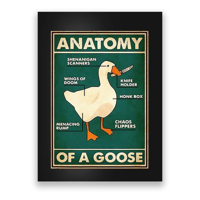Anatomy Of A Goose With Knife Poster
