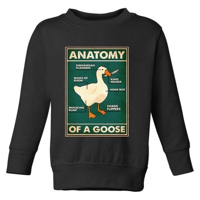 Anatomy Of A Goose With Knife Toddler Sweatshirt