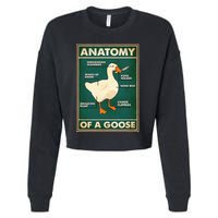 Anatomy Of A Goose With Knife Cropped Pullover Crew