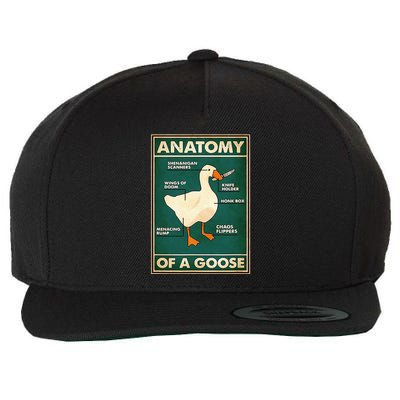 Anatomy Of A Goose With Knife Wool Snapback Cap
