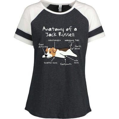 Anatomy Of A Jack Russell Terrier Funny Dog Gift Enza Ladies Jersey Colorblock Tee