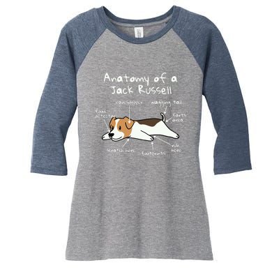 Anatomy Of A Jack Russell Terrier Funny Dog Gift Women's Tri-Blend 3/4-Sleeve Raglan Shirt