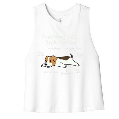 Anatomy Of A Jack Russell Terrier Funny Dog Gift Women's Racerback Cropped Tank