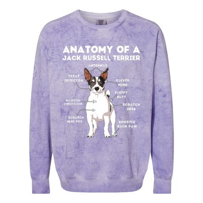 Anatomy Of A Jack Russell Terrier Colorblast Crewneck Sweatshirt