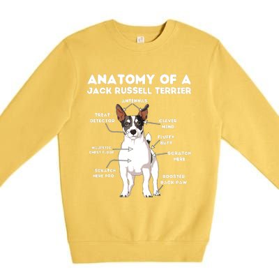 Anatomy Of A Jack Russell Terrier Premium Crewneck Sweatshirt