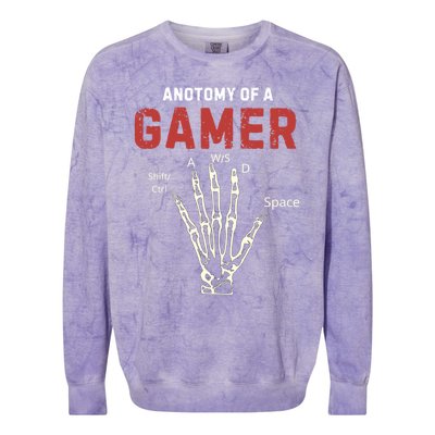 Anatomy Of A Gamer Funny Gaming Gift For Game Lovers Meaningful Gift Colorblast Crewneck Sweatshirt