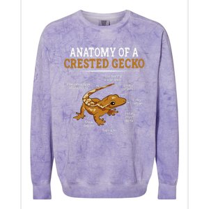 Anatomy Of A Crested Gecko Eyelash Lizard Herpetologist Colorblast Crewneck Sweatshirt