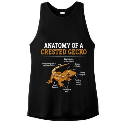 Anatomy Of A Crested Gecko Eyelash Lizard Herpetologist Ladies PosiCharge Tri-Blend Wicking Tank