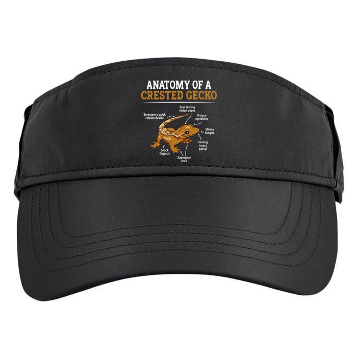 Anatomy Of A Crested Gecko Eyelash Lizard Herpetologist Adult Drive Performance Visor