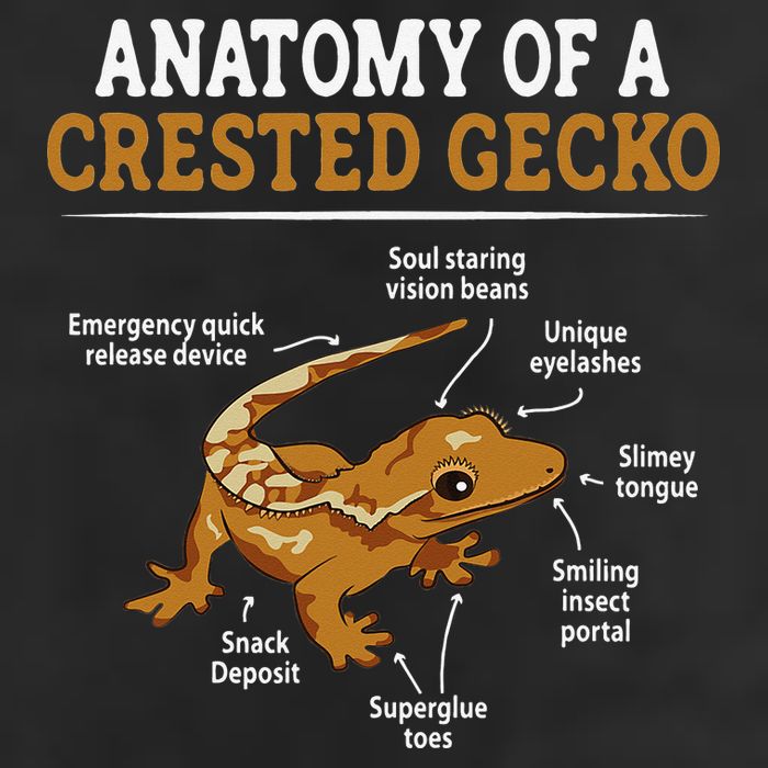 Anatomy Of A Crested Gecko Eyelash Lizard Herpetologist Adult Drive Performance Visor