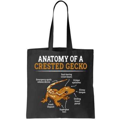 Anatomy Of A Crested Gecko Eyelash Lizard Herpetologist Bag