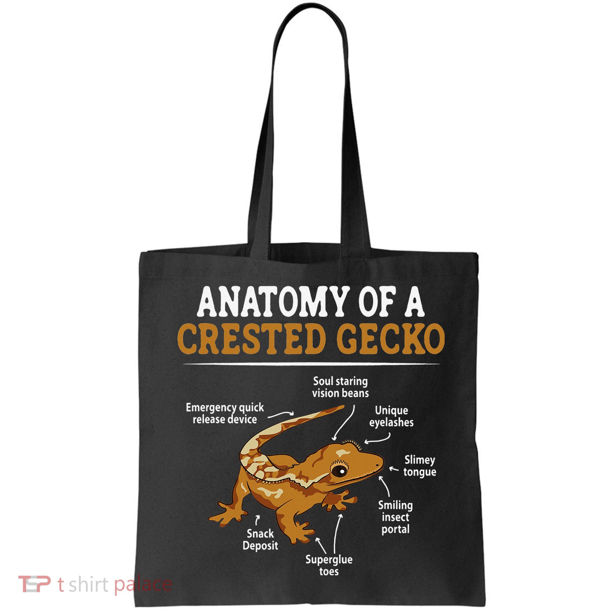 Anatomy Of A Crested Gecko Eyelash Lizard Herpetologist Bag