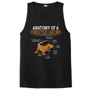 Anatomy Of A Crested Gecko Eyelash Lizard Herpetologist PosiCharge Competitor Tank