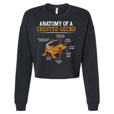 Anatomy Of A Crested Gecko Eyelash Lizard Herpetologist Cropped Pullover Crew