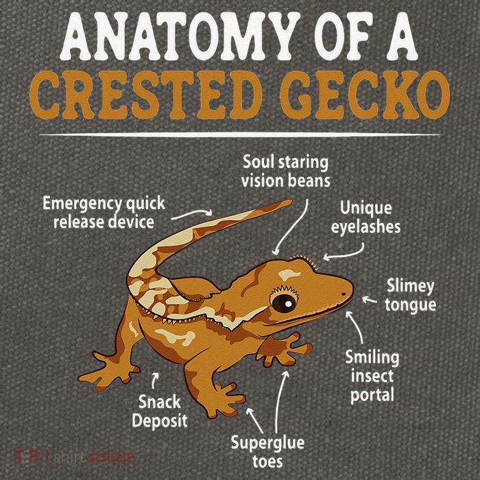 Anatomy Of A Crested Gecko Eyelash Lizard Herpetologist Cotton Canvas Backpack