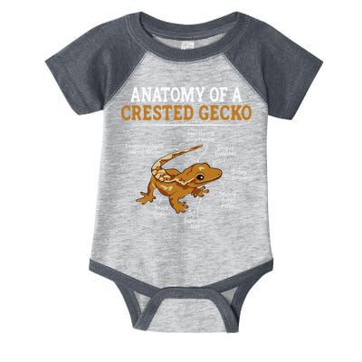 Anatomy Of A Crested Gecko Eyelash Lizard Herpetologist Infant Baby Jersey Bodysuit