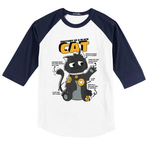 Anatomy Of A Black Cat Shirt, Funny Cats For Girls Baseball Sleeve Shirt