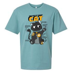 Anatomy Of A Black Cat Shirt, Funny Cats For Girls Sueded Cloud Jersey T-Shirt