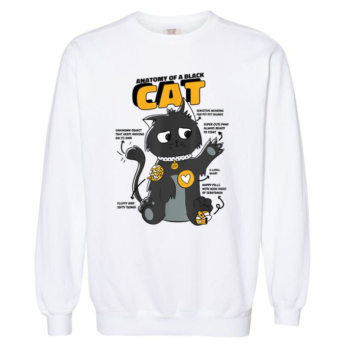 Anatomy Of A Black Cat Shirt, Funny Cats For Girls Garment-Dyed Sweatshirt