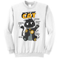 Anatomy Of A Black Cat Shirt, Funny Cats For Girls Sweatshirt