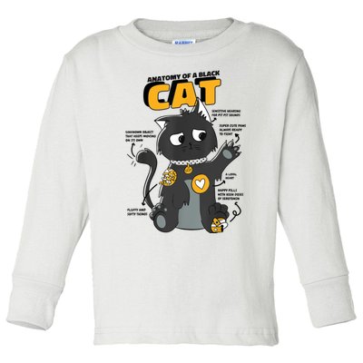 Anatomy Of A Black Cat Shirt, Funny Cats For Girls Toddler Long Sleeve Shirt