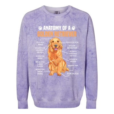 Anatomy Of A Golden Retriever Funny Dog Lovers Gift Colorblast Crewneck Sweatshirt