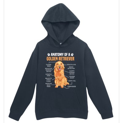 Anatomy Of A Golden Retriever Funny Dog Lovers Gift Urban Pullover Hoodie