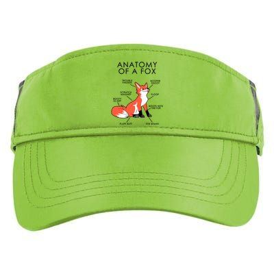 Anatomy Of A Fox Adult Drive Performance Visor