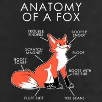 Anatomy Of A Fox 7 Panel Mesh Trucker Snapback Hat