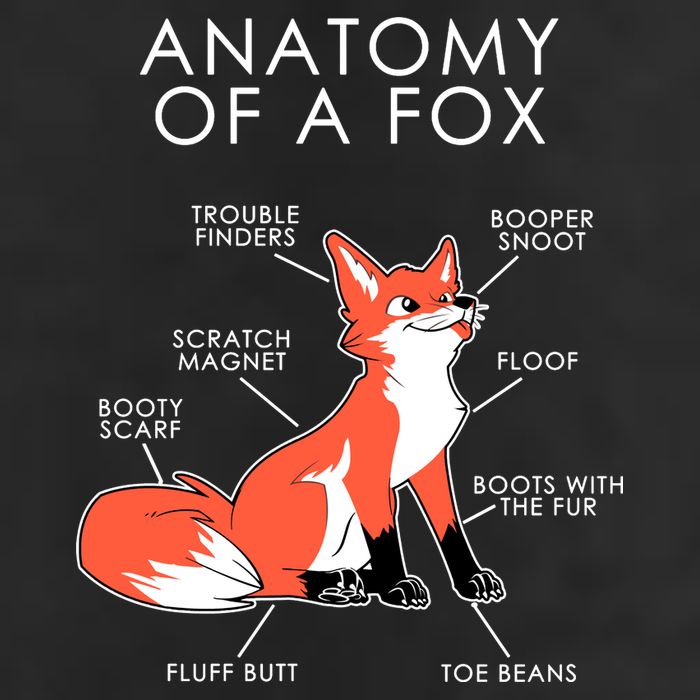 Anatomy Of A Fox 7 Panel Mesh Trucker Snapback Hat