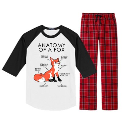 Anatomy Of A Fox Raglan Sleeve Pajama Set