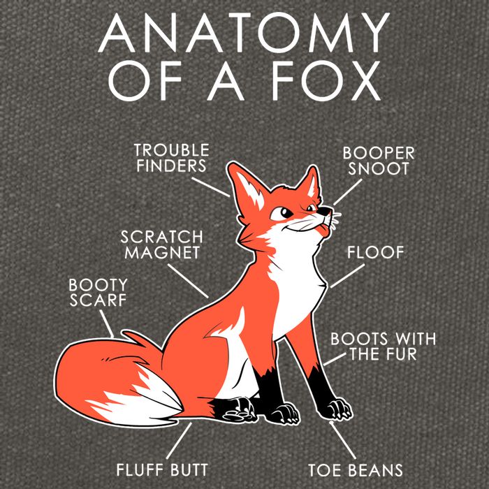 Anatomy Of A Fox Cotton Canvas Backpack