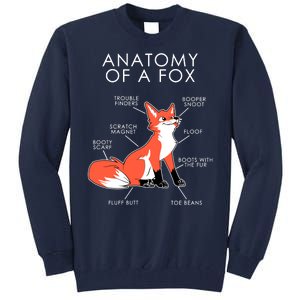 Anatomy Of A Fox Tall Sweatshirt