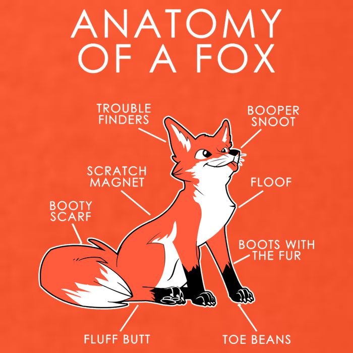 Anatomy Of A Fox Tall T-Shirt