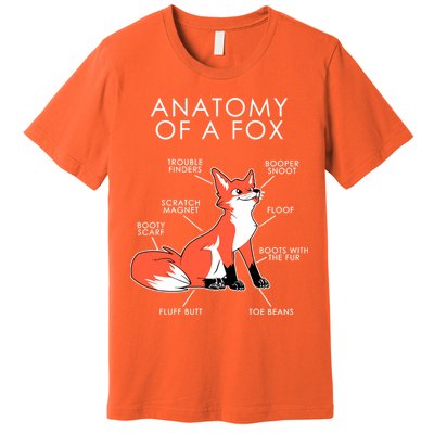 Anatomy Of A Fox Premium T-Shirt