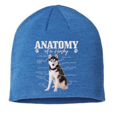 Anatomy Of A Siberian Husky Funny Cute Dog Husky Mom Dad Cute Gift Sustainable Beanie