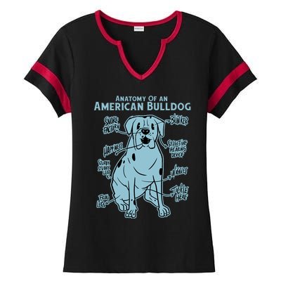 Anatomy Of An American Bulldog Ladies Halftime Notch Neck Tee