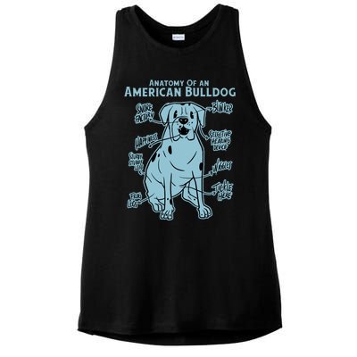 Anatomy Of An American Bulldog Ladies PosiCharge Tri-Blend Wicking Tank