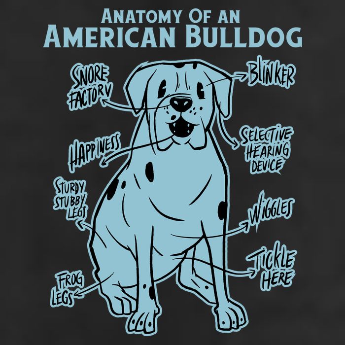 Anatomy Of An American Bulldog 11oz C Handle Ceramic Mug