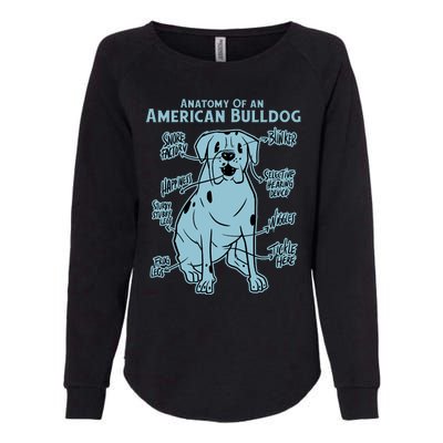 Anatomy Of An American Bulldog Womens California Wash Sweatshirt