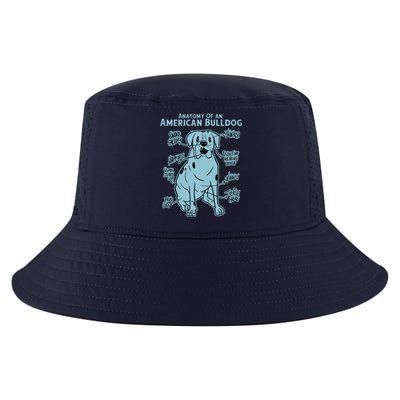 Anatomy Of An American Bulldog Cool Comfort Performance Bucket Hat