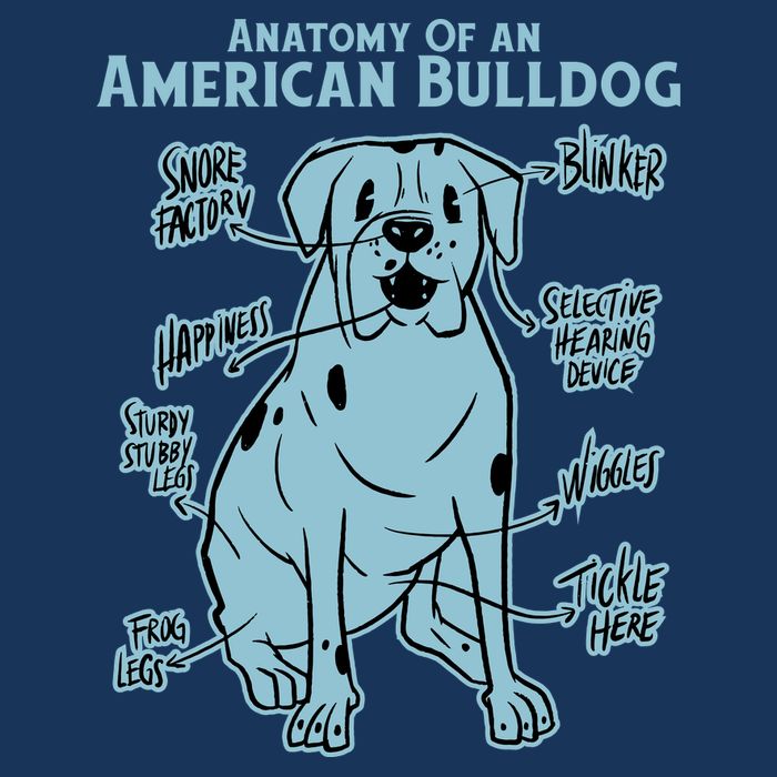 Anatomy Of An American Bulldog Cooling Performance Crew T-Shirt