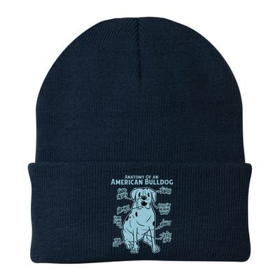 Anatomy Of An American Bulldog Knit Cap Winter Beanie