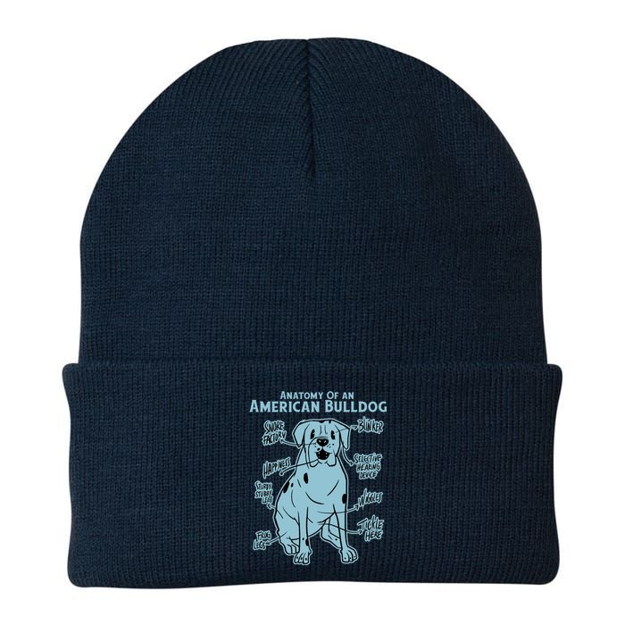 Anatomy Of An American Bulldog Knit Cap Winter Beanie